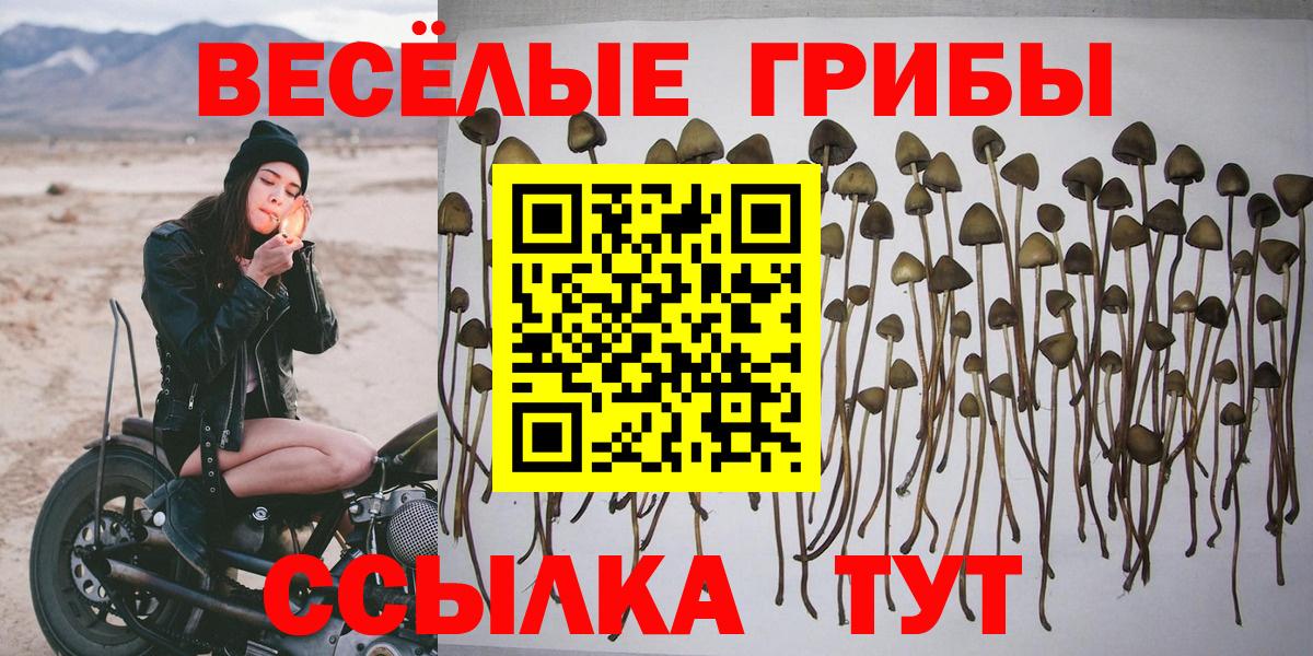 Гудермес  Галлюциногенные грибы GOLDEN TEACHER  Вход с VPN  Псилоцибиновые грибы мухоморы 